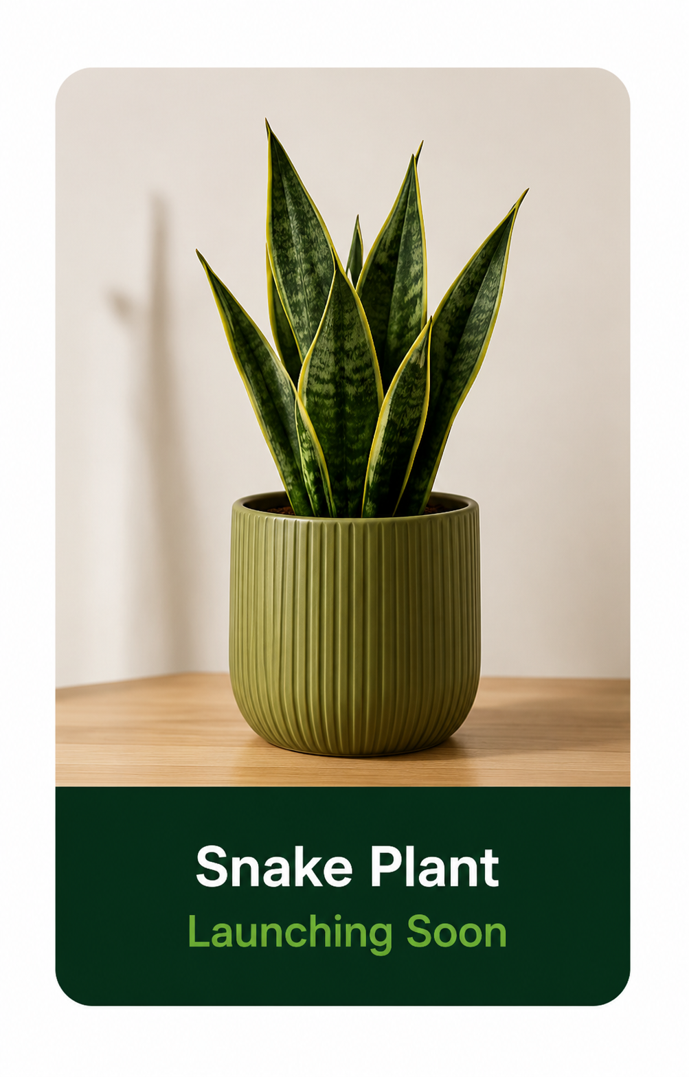 Leaforaa plant pick 3